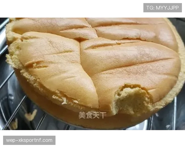 马琳家冰箱里塞满蛋白粉,娃想偷吃块蛋糕都被拦下