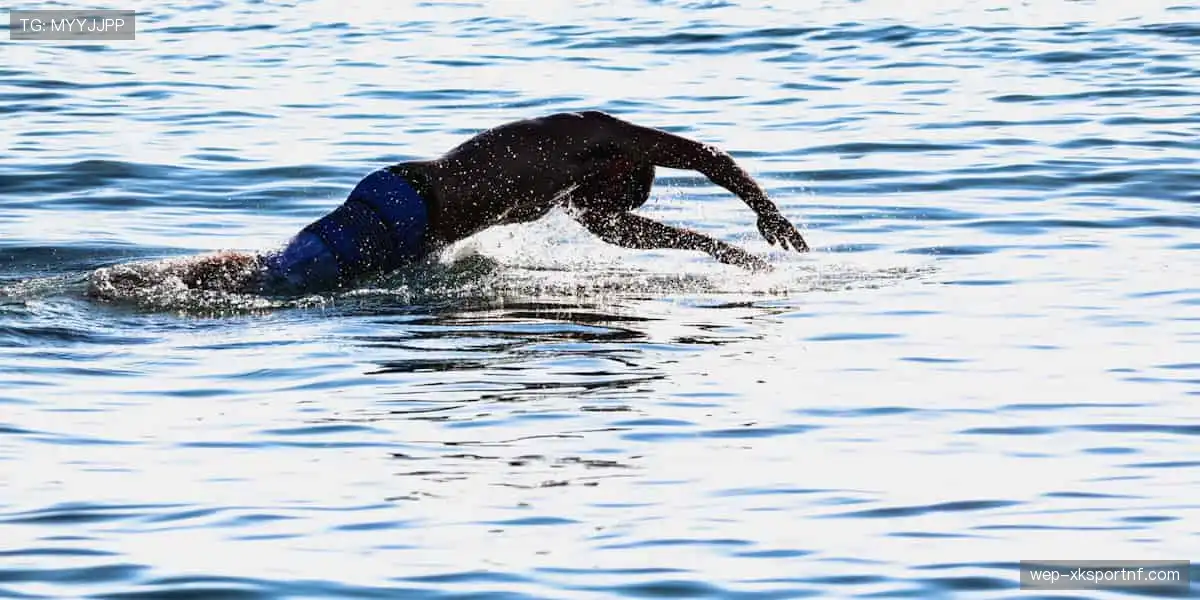 🛒🎁 周边商城，一键选购！